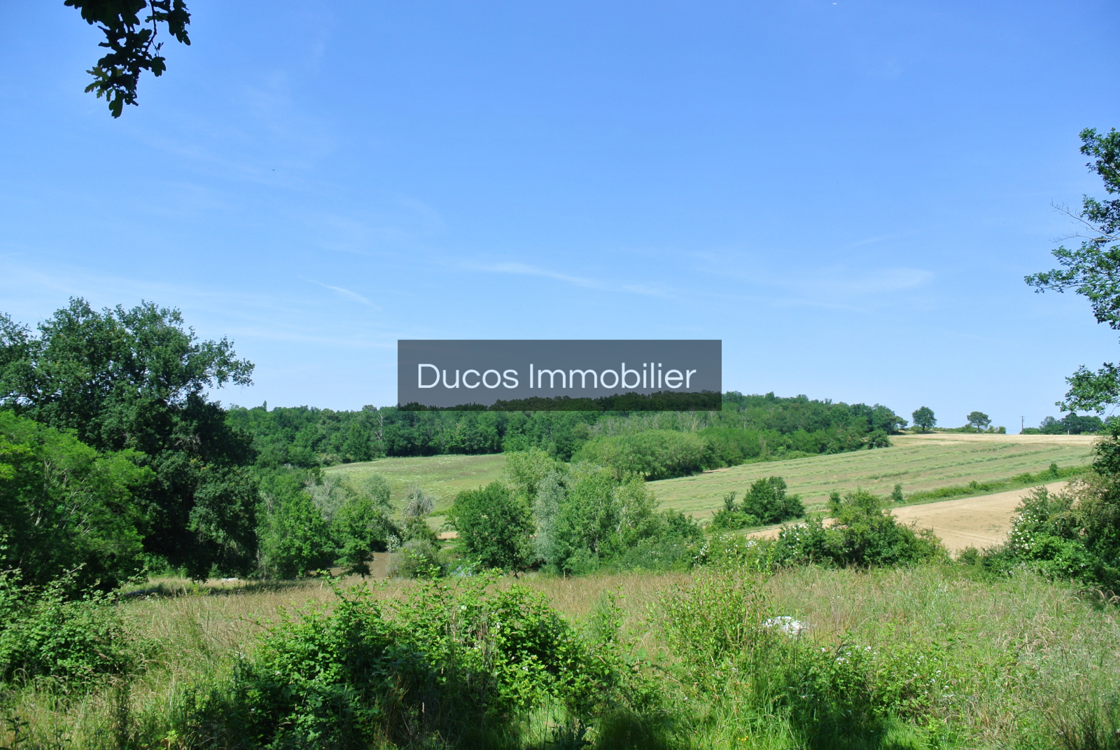 Image_, Terrain agricole, Castelnau-sur-Gupie, ref :4282