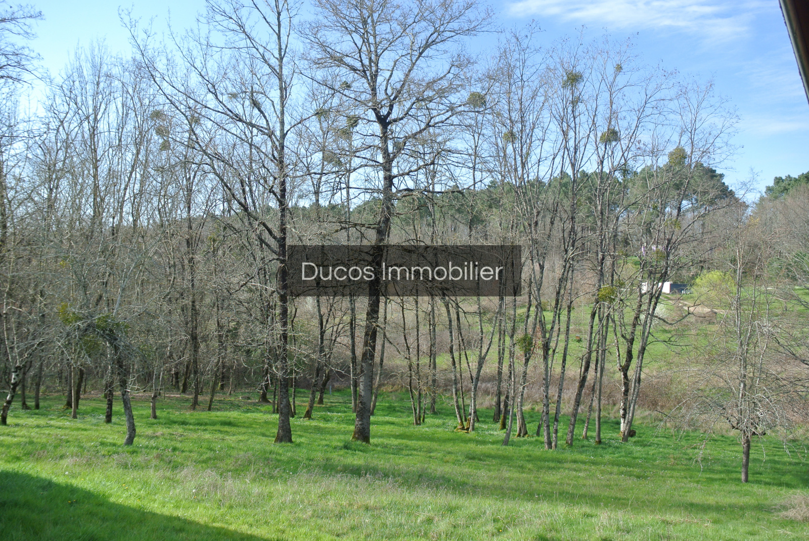 Image_, Maison, Castelnau-sur-Gupie, ref :4251