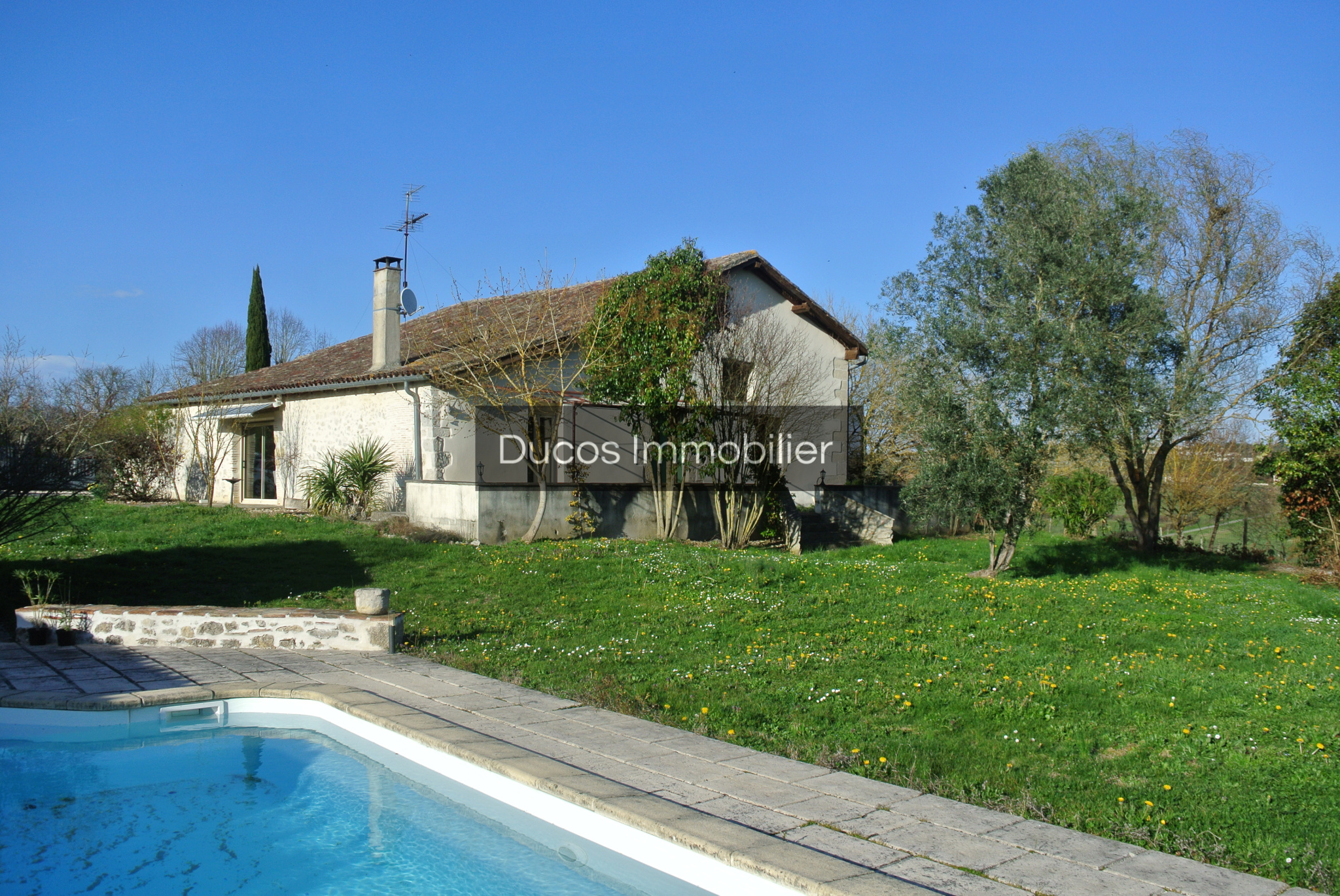 Agence immobilière de Ducos Property Immobilier