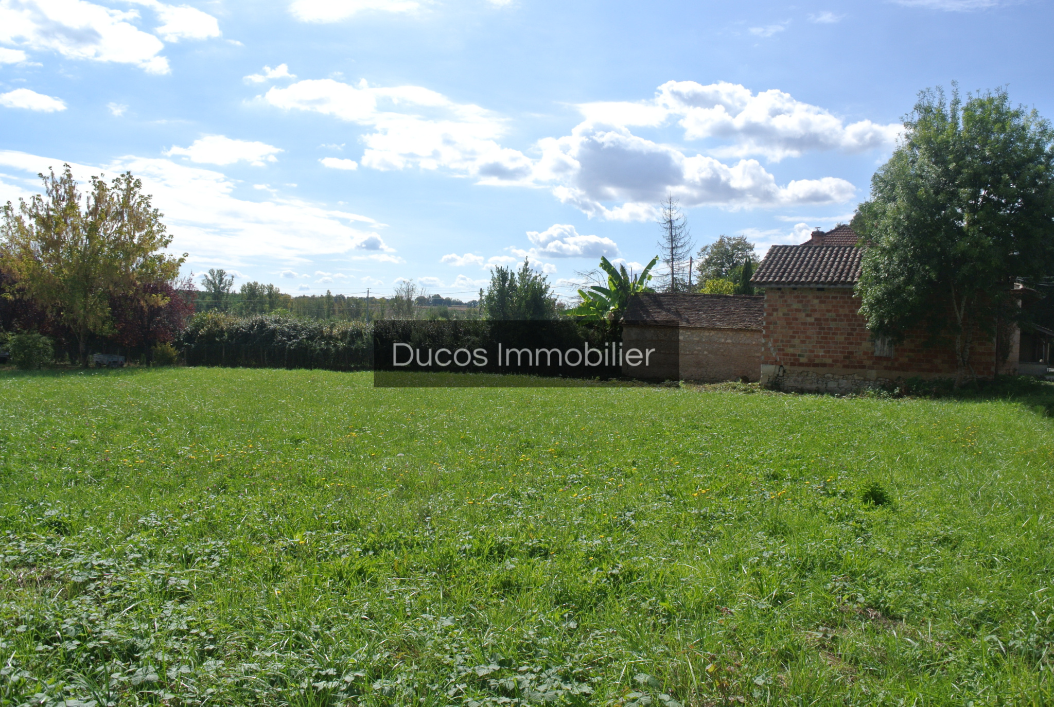 Agence immobilière de Ducos Property Immobilier