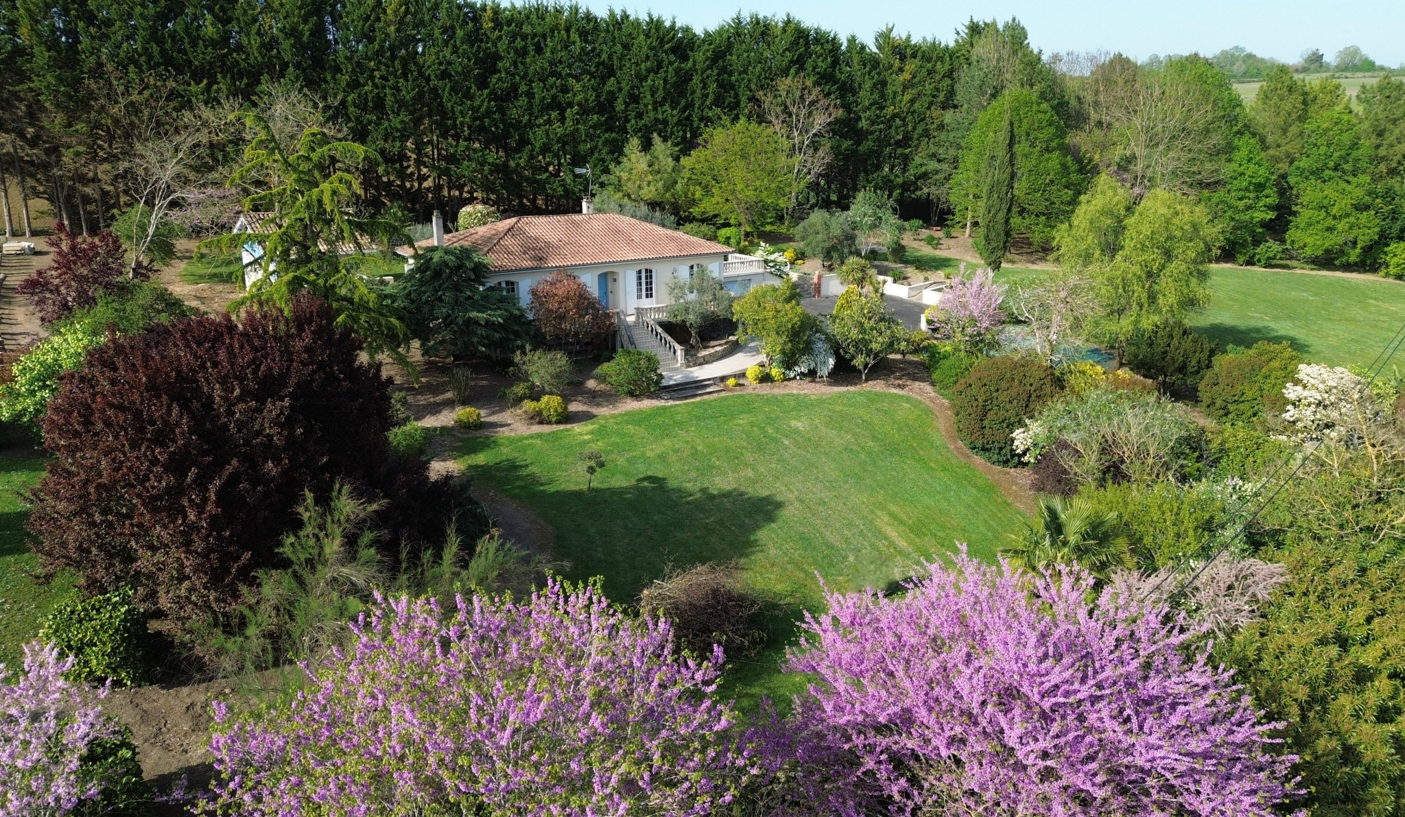 Bel environnement pour cette maison 3 chambres avec 2 hectares