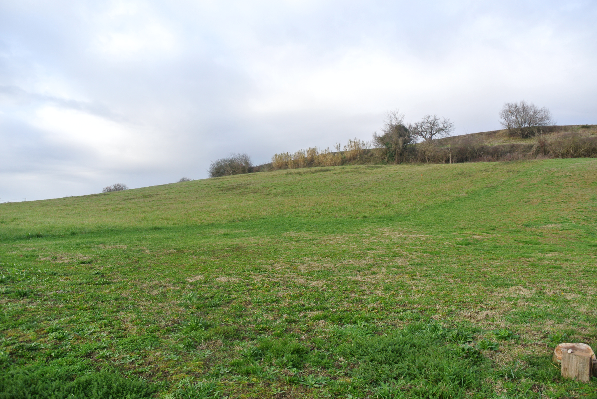 Terrain constructible et agricole attenant