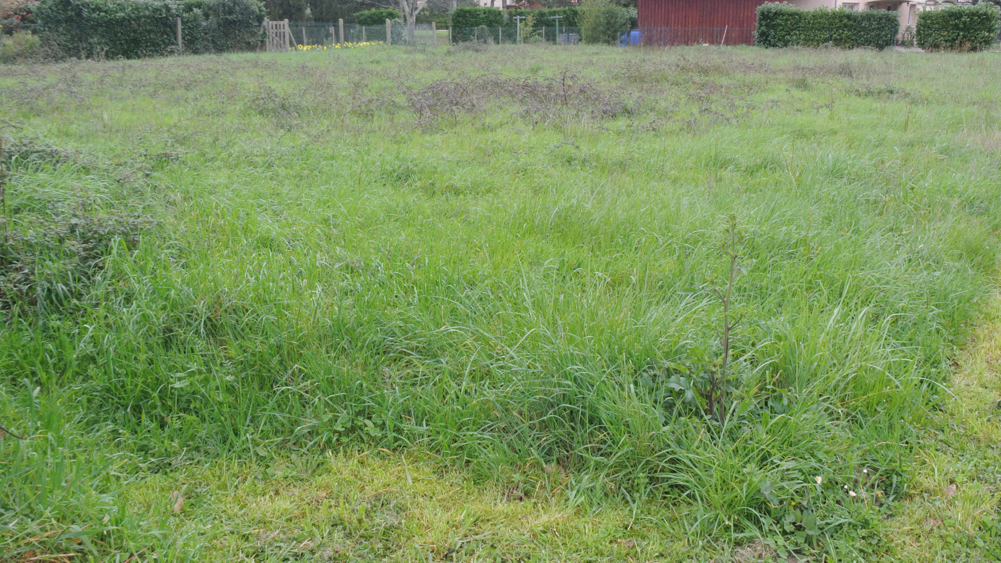 EXCLUSIVITE à Beaupuy Terrain à Bâtir